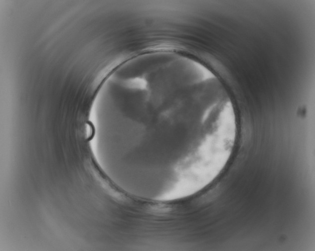 X0000113141329200910161147