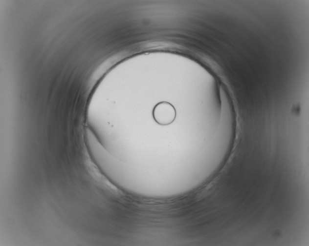 X0000113141330200910161147
