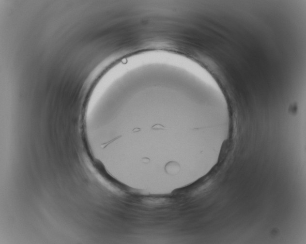 X0000113141331200910161147