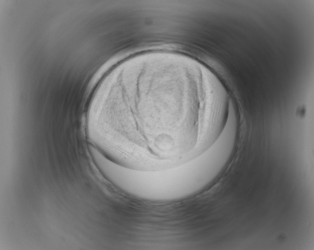 X0000113141332200910161147