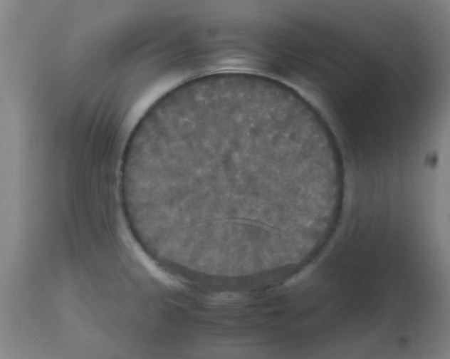 X0000113141333200910161147