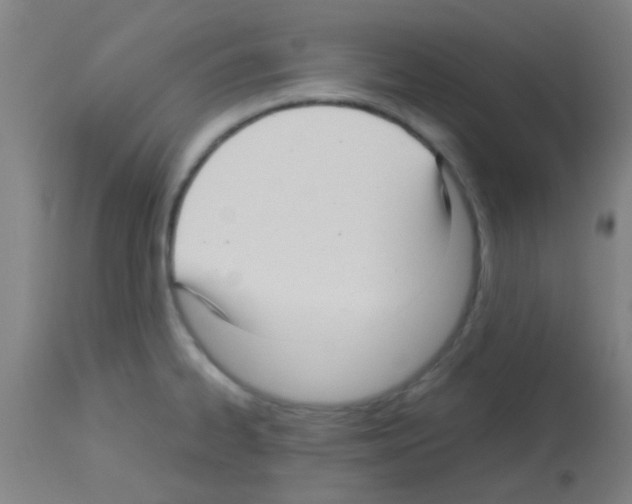 X0000113141334200910161147