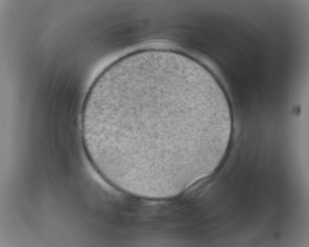 X0000113141335200910161147