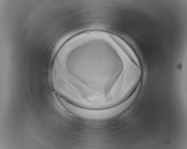 X0000113141340200910161147