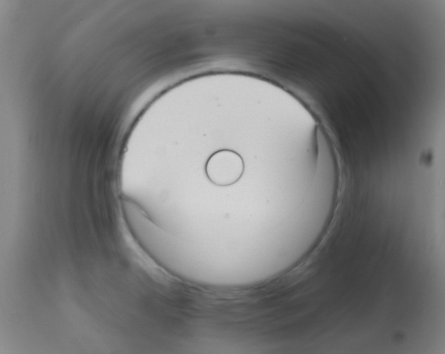 X0000113141342200910161147