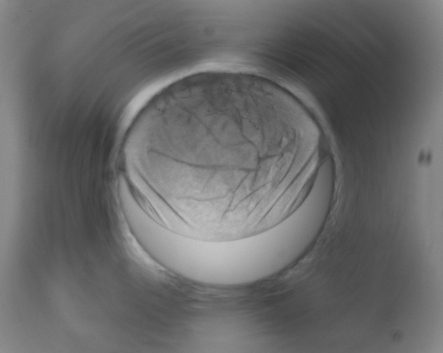 X0000113141344200910161147