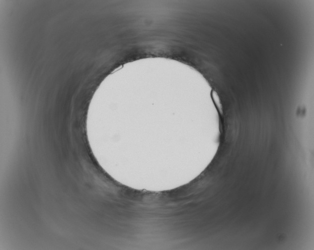 X0000113141345200910161146