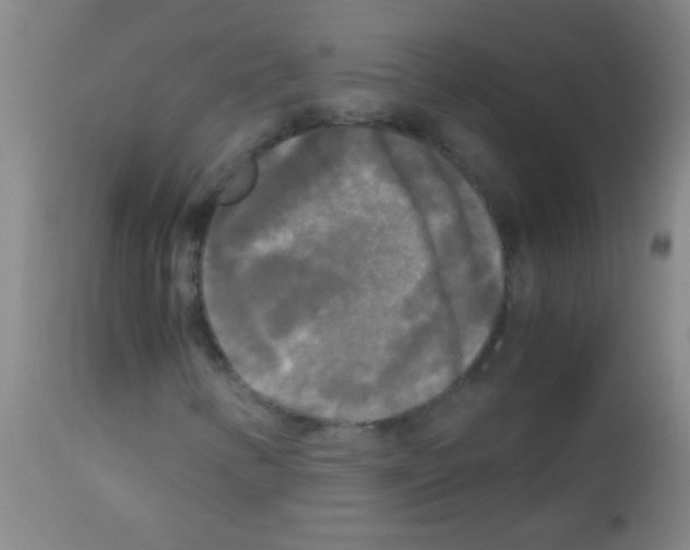 X0000113141346200910161146