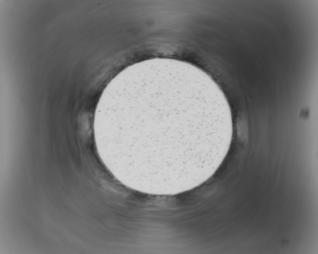 X0000113141347200910161146