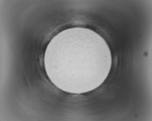 X0000113141348200910161146