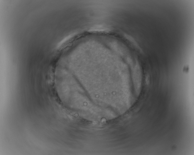 X0000113141350200910161146