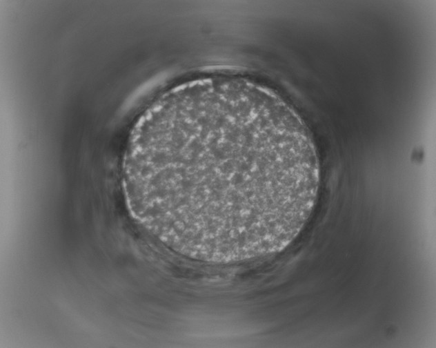 X0000113141351200910161146
