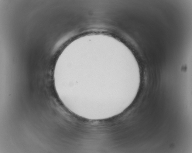 X0000113141352200910161146
