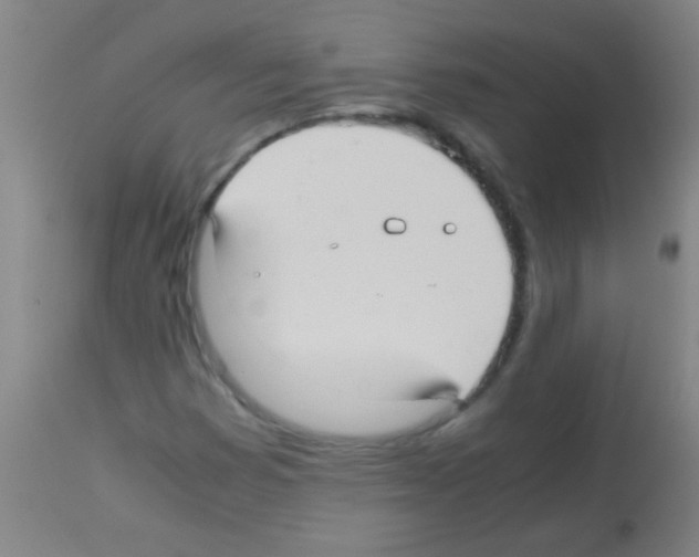 X0000113141353200910161146
