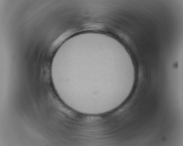 X0000113141354200910161146