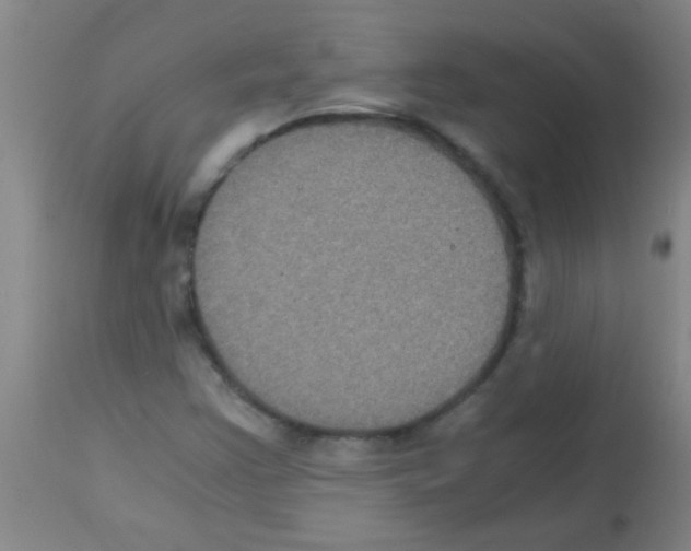 X0000113141355200910161146