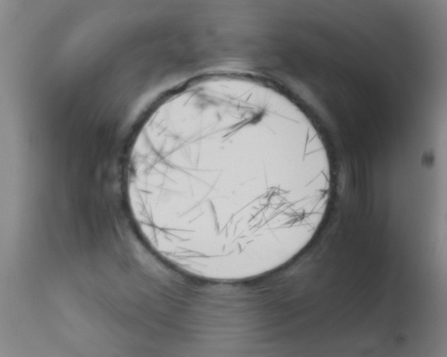 X0000113141356200910161146