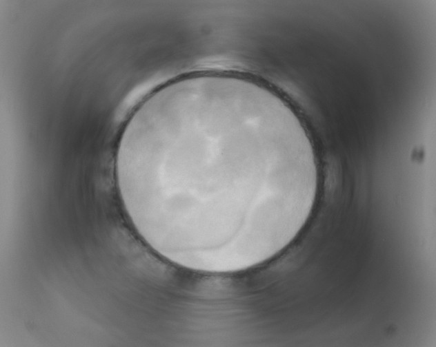 X0000113141358200910161146