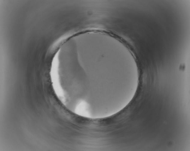 X0000113141359200910161146
