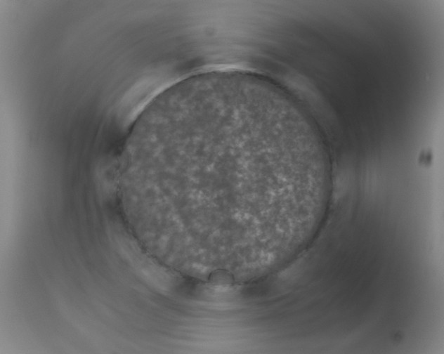 X0000113141361200910161146
