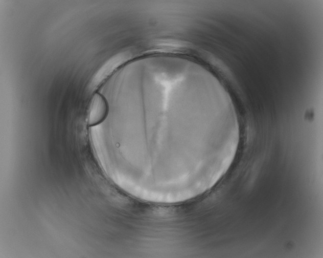 X0000113141362200910161146