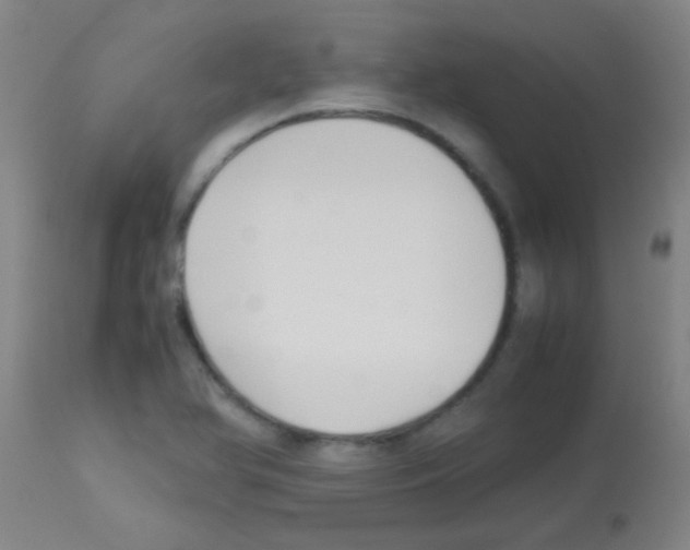 X0000113141366200910161146