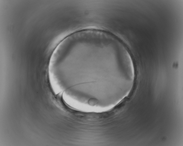X0000113141367200910161146