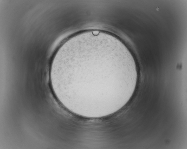 X0000113141368200910161146