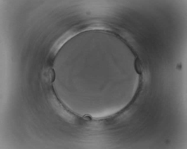 X0000113141369200910161146