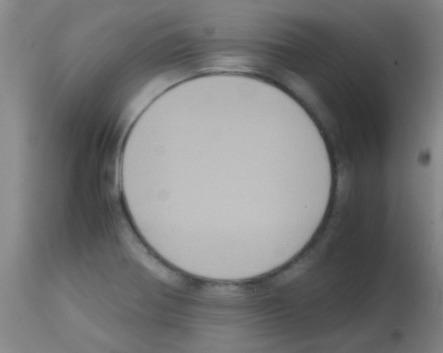 X0000113141370200910161146