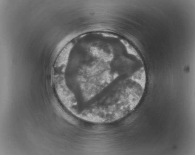 X0000113141371200910161146