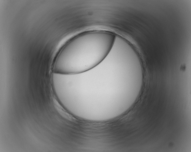 X0000113141372200910161146