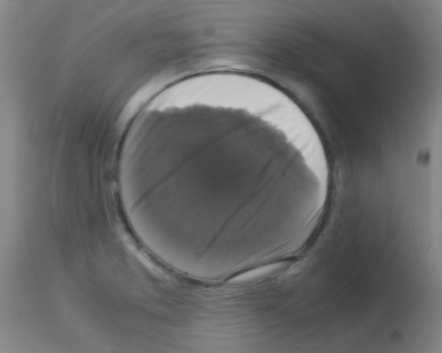 X0000113141373200910161146