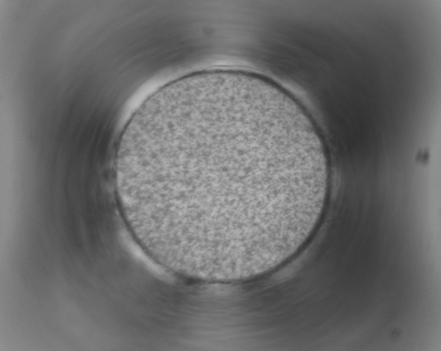 X0000113141374200910161146