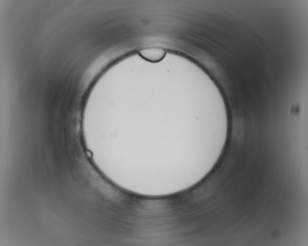 X0000113141376200910161146
