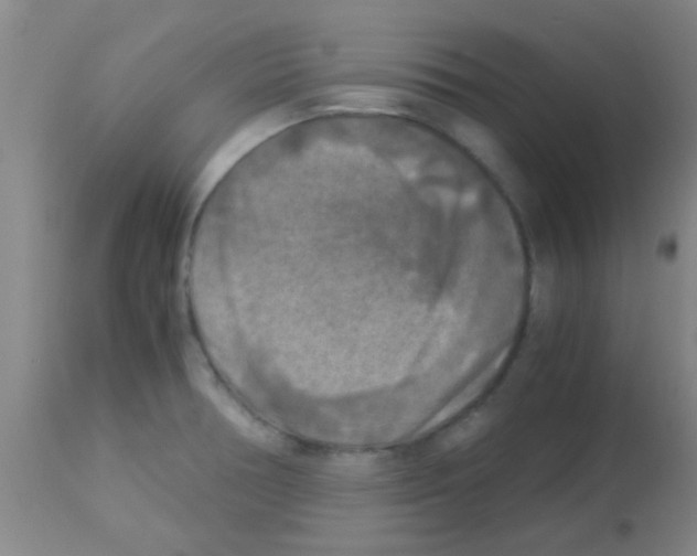 X0000113141378200910161146