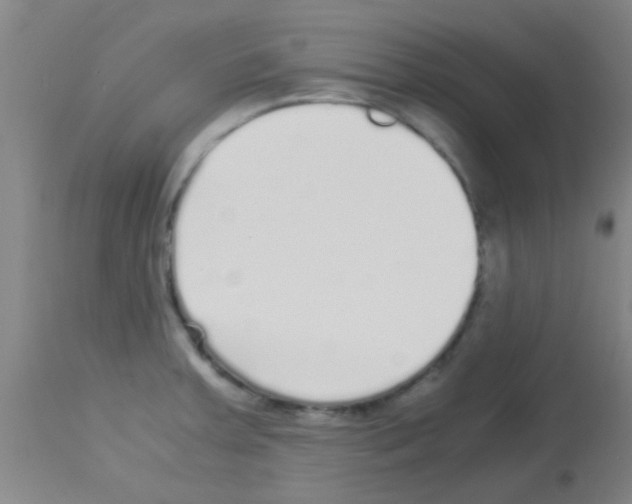 X0000113141379200910161146