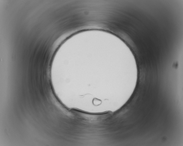 X0000113141380200910161146