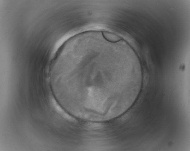 X0000113141382200910161146
