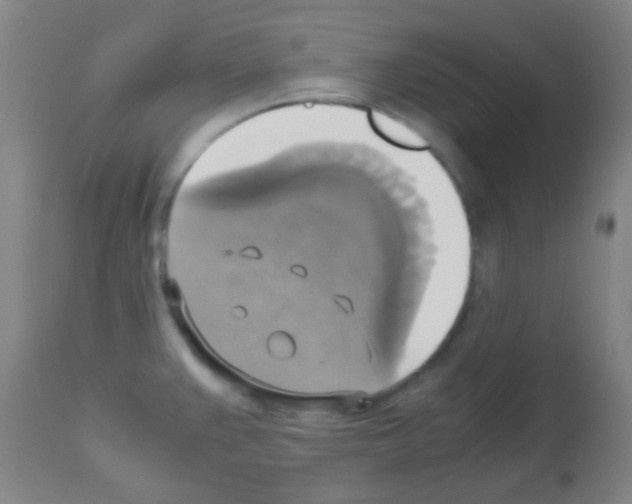X0000113141383200910161146