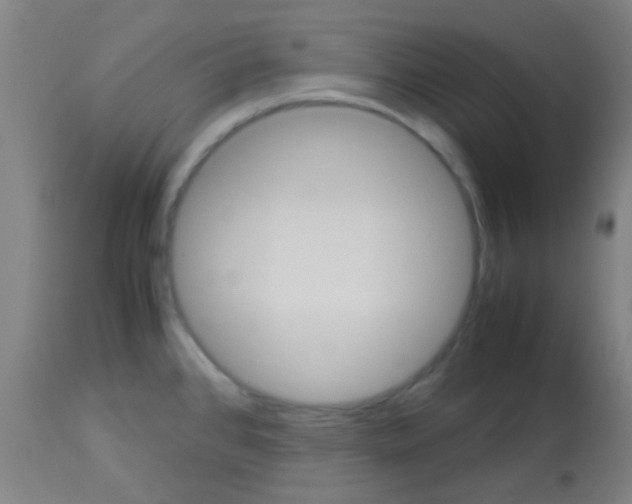 X0000113141384200910161146