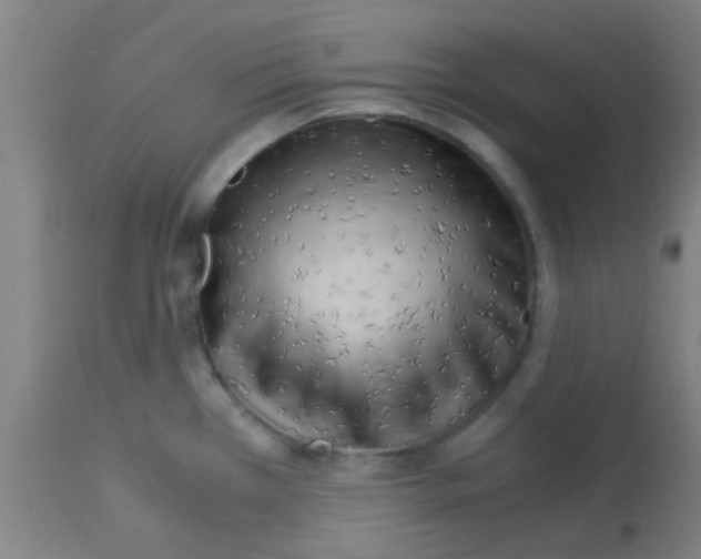 X0000113141385200910161146