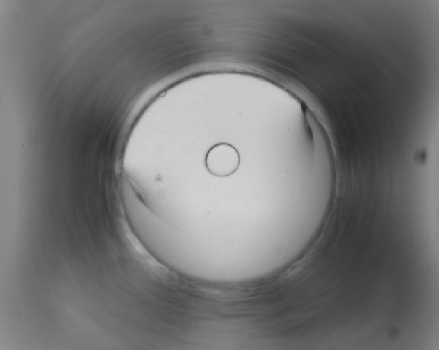 X0000113141388200910161146