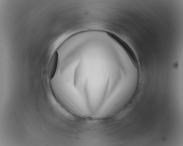 X0000113141389200910161146