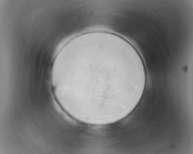 X0000113141390200910161146