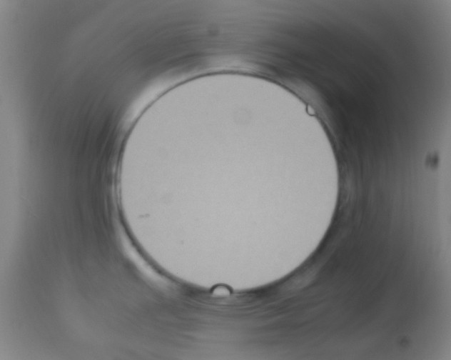 X0000113141391200910161146