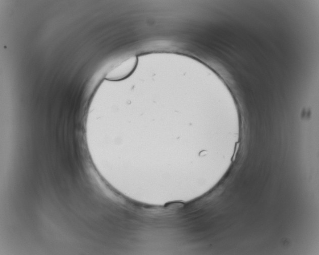 X0000113141392200910161146