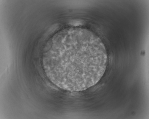 X0000113141393200910161145