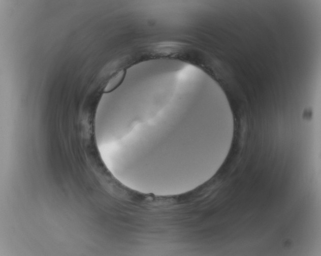 X0000113141394200910161145