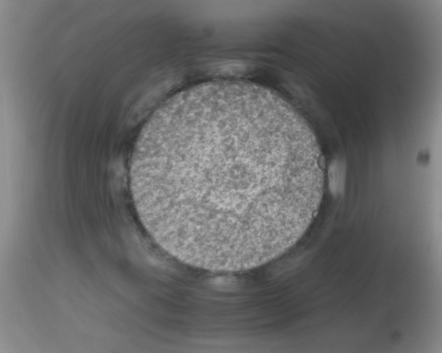 X0000113141395200910161145
